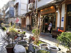 -乳仔牛牦牛汤锅 烤羊排(松潘古城店)
