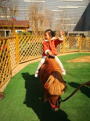 -萌宠亲子动物乐园(槐房万达店)