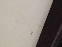 -大连心悦大酒店