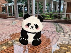 -香港大学