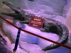 -客天下梦幻冰雪乐园