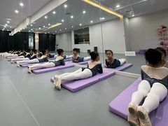 -中央芭蕾舞团·中芭艺蕾(酒仙桥明星校区)