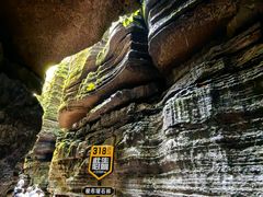 -梭布垭石林景区