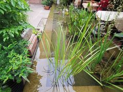 -新竹里馆·花园餐厅(兴苑路店)