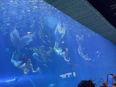 -华夏文旅海洋公园