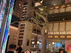 -桂满陇·海市蜃楼·黑金(国金店)