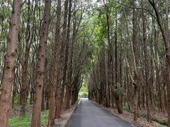 -同里国家湿地公园