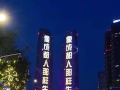 -合景·悠方(成都店)