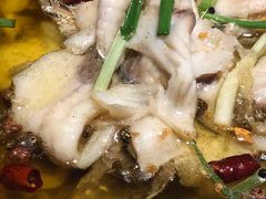 -靠山屯东北农家菜(八龙桥雅苑店)