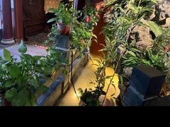 -金指缘足浴(望园路旗舰店)