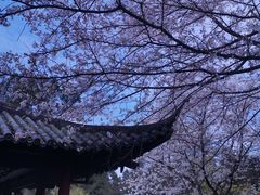 -杭州植物园