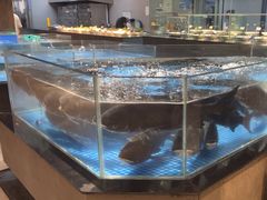 -绿杨春·淮扬宴(庐山路店)