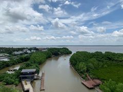 -东寨港红树林旅游区