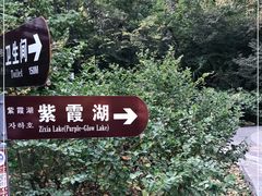 -紫霞湖公园