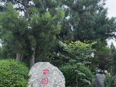 -中国唐苑