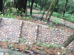 -罗浮山-南楼寺