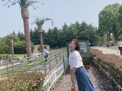 -上海月湖雕塑公园