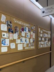 -上海首尔丽格医疗美容医院