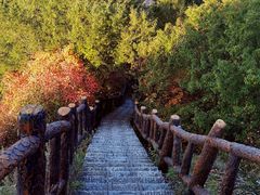 -秦岭终南山世界地质公园翠华山景区