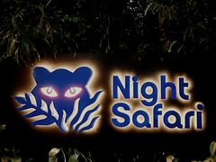 -夜间野生动物园