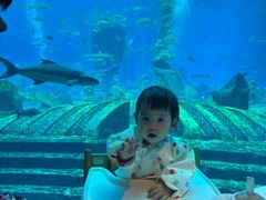 -亚特兰蒂斯•OSSIANO奥西亚诺海底餐厅