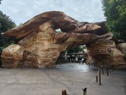 -翱翔飞越地平线