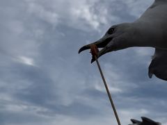 -星海广场