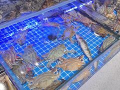 -77号渔船·蒸海鲜青岛菜(积米崖店)