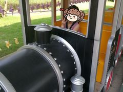 -美的鹭湖探索王国