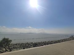 -宝安西湾红树林湿地公园