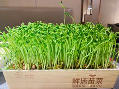 -七欣天香辣蟹火锅(无锡锡沪西路店)