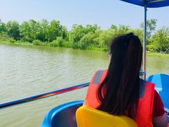 -上海长兴岛郊野公园