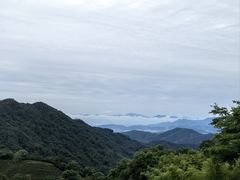 -龙井村