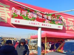 -蒲河大集