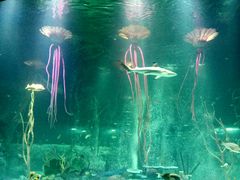 -沈阳海洋探索中心