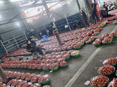 -江杨农产品批发市场