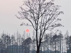 -良渚古城遗址公园