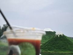 -林栖谷森林康养度假区