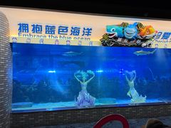 -成都浩海立方海洋公园