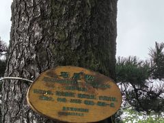 -武当山风景区