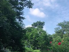 -四望岗公园