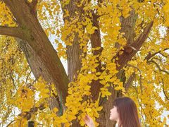 -百家班(市府店)