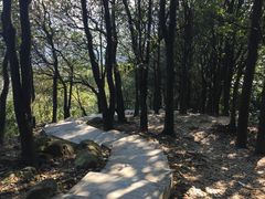 -火炉山森林公园