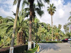 -圣爵菲斯大酒店(长沙世界之窗店)