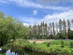 -前小桔亲子创意农场·草莓采摘·露营烧烤