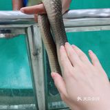 泰国出境游攻略