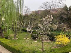 -团结湖公园