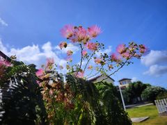 -宁波松兰山滨海旅游度假区