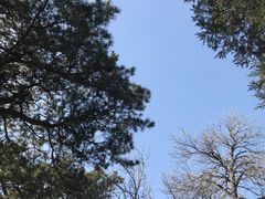 -香山公园