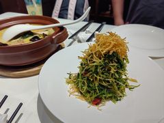 巧拌豆苗-四季民福烤鸭店(王府井灯市口店)